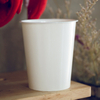 Biodegradable Ripple Wall 12oz Take Away Paper Cup