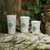 Environment-Friendly Biodegradable Plastic free Coffee Cups 