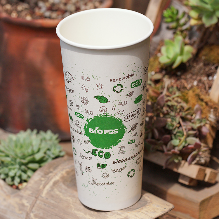 8 oz Double Wall Compostable Vending Biodegradable Paper Cup With Lid
